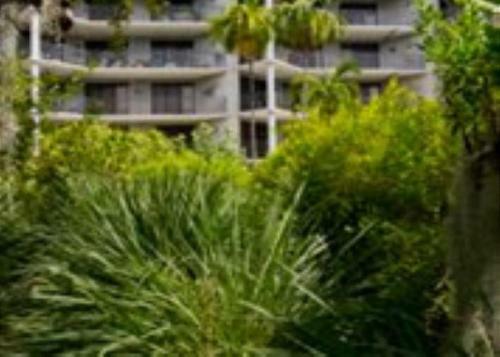 Apartamento Paradise Ocean View C426 At 1800