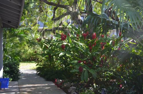 Apartamento Paradise Ocean View C426 At 1800