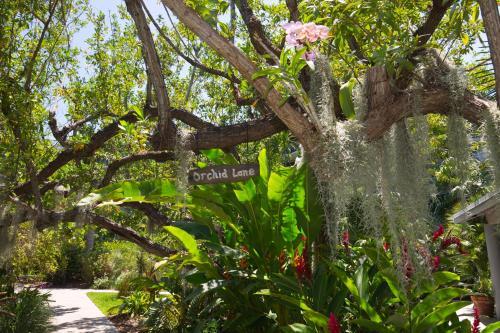 Apartamento Turtle Cay Island Delight C327