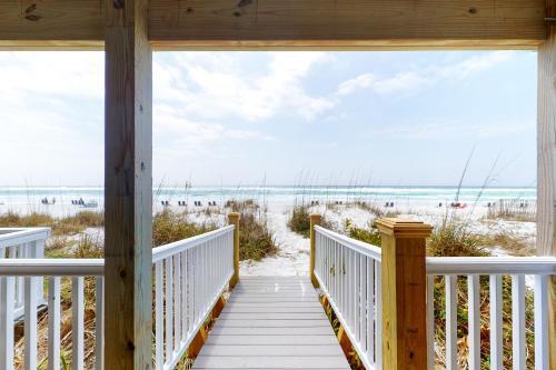 Sand Dollar