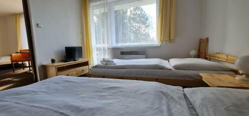 Hotel Svratka