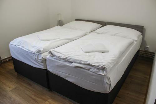 Apartm�n Svoboda Nad �pou
