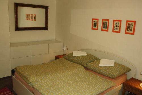 Apartamento Zelen� D?m