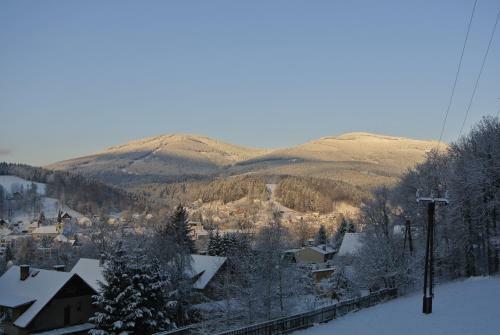 Apartm�n Svoboda
