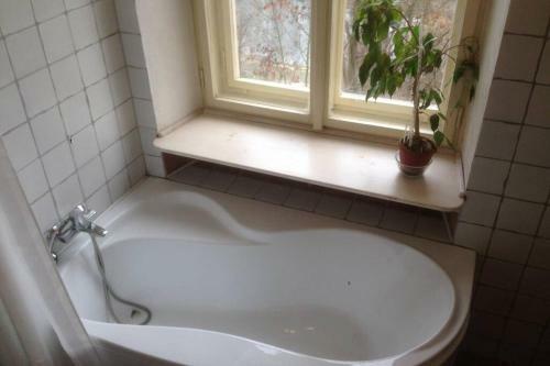 Apartamento Pod Parkany Studio With View