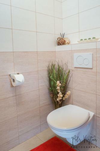 Luxurious, Lovely And Romantic Apartment In Tabor