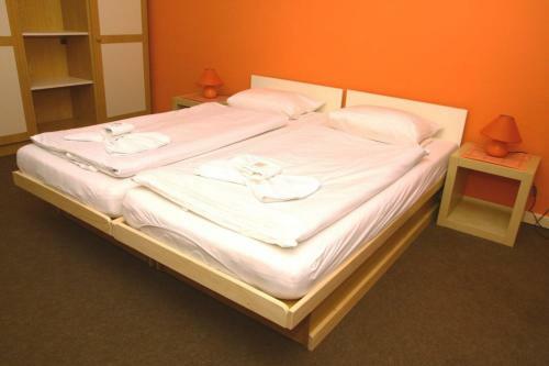 Hotel Bor