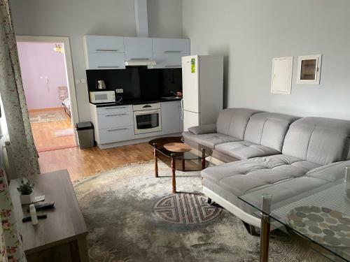 Apartamentos Salve Teplice