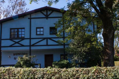 Hostal Terra