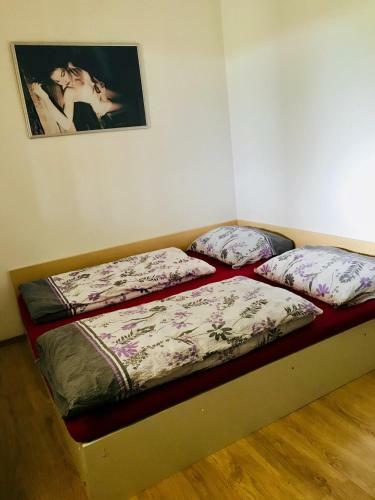 Hostal Restaurace Penzion Pod ?um�rn�kem
