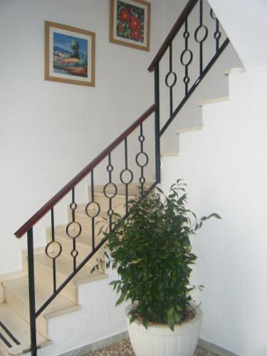 Hostal Muriel