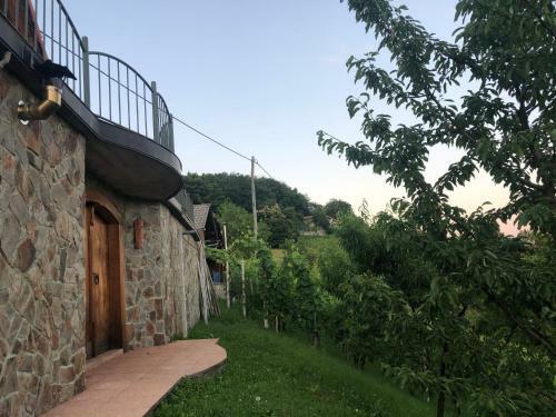 Vineyard Cottage Janko & Metka