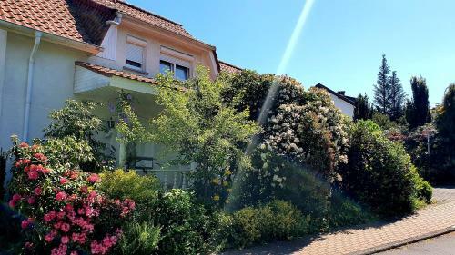 Ferienhaus "villa Am Eck"
