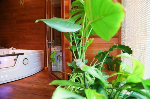 Apartm�n Wellness Sedmihorky