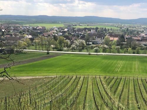 Apartamento Ferienwohnung Weinberg