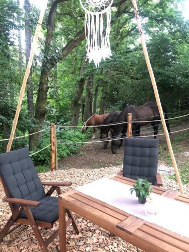 Glamping Nad Meandry