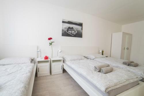 Apartamento Penzion U Parku T?ebo?