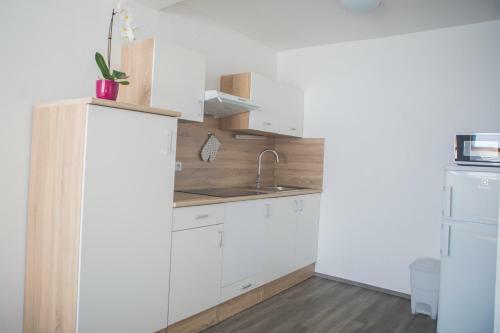Apartamento Penzion U Parku T?ebo?
