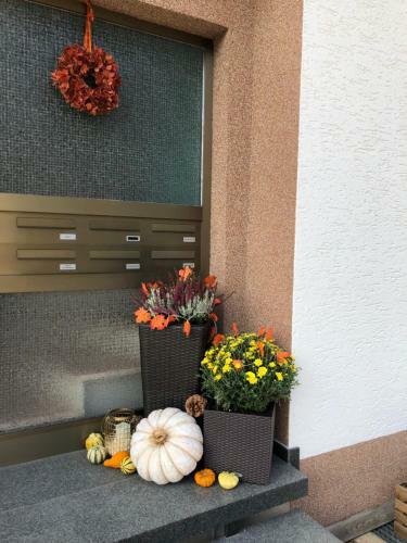 Apartamento Haus Cornelia