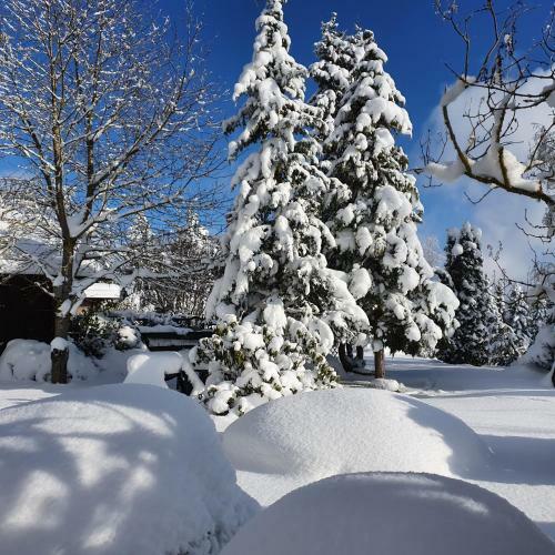 Apartamento Schau Ins Land