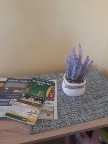 Apartm�n Sandra