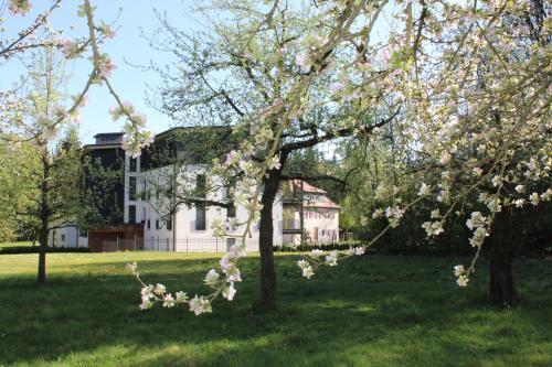 Apartamento Waldhotel Rainau