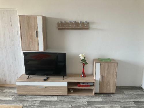 Apartm�n Ve Velk�ch Losin�ch