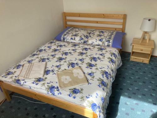 Apartm�n Ve Velk�ch Losin�ch