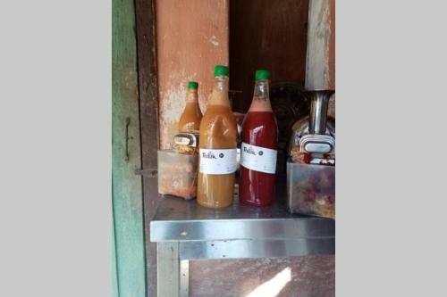 Apartamento Statek