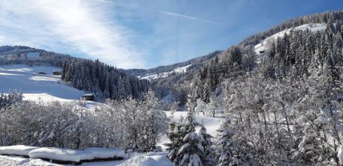 Apartamento Haus Fichtenblick