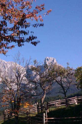 Hostal Payrhof
