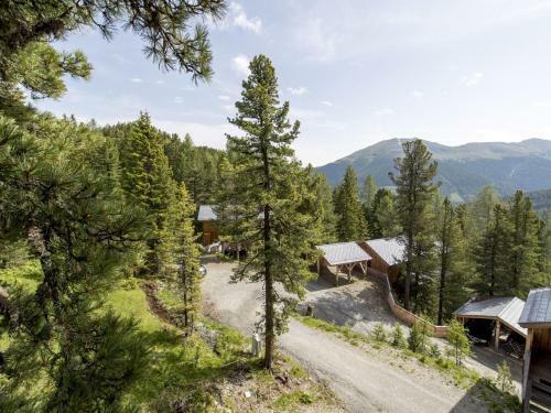 Chalet Alpenpark Turracherh�he 1