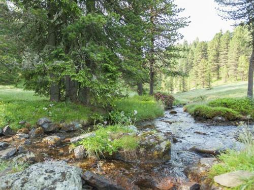 Chalet Alpenpark Turracherh�he 1
