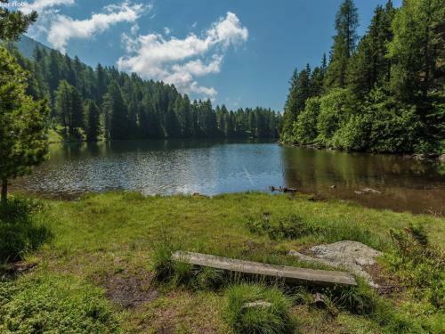 Chalet Alpenpark Turracherh�he 1