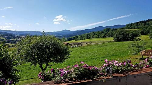 Hostal Pension Engelsh�tt
