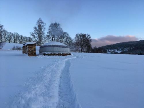 Lodge Yurt - Jurti?ka