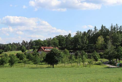 Hostal Ubytov�n� Pod Haniperkem