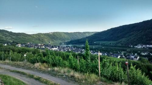 Weingut Sauer-kettermann