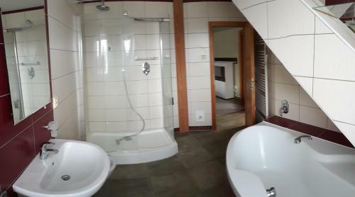 Apartm�n Lidick�