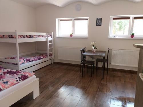 Apartamento Penzion Pasty?�k