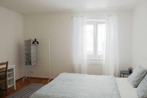 Apartm�n Kopec, Se Zahr�dkou