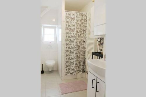 Apartm�n Kopec, Se Zahr�dkou
