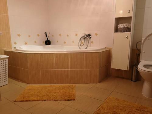 Hostal Penzion 166 - Herl�kovice