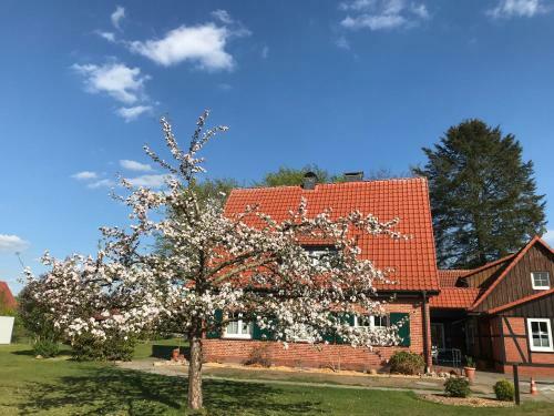 Ferienhaus-eschede