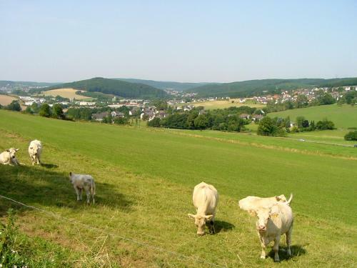 Landhaus Panorama