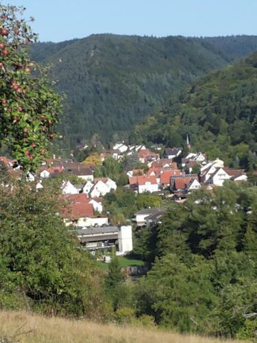 Apartamentos Ferienwohnung Am Sulzbach