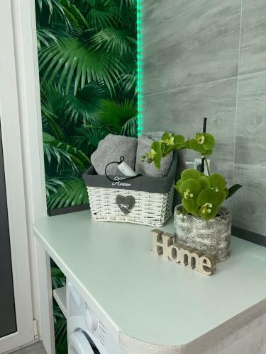 Apartamento Ferienwohnung Erfurter Rose
