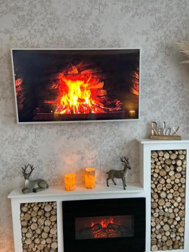 Apartamento Ferienwohnungen In Erfurt