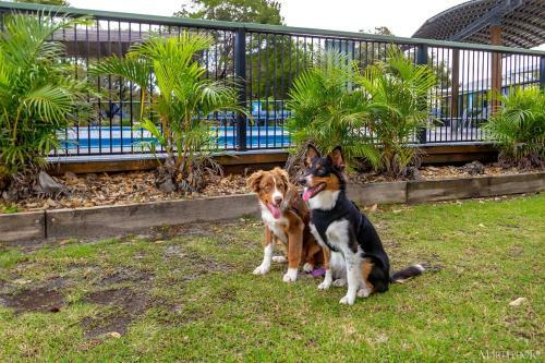 Hotel Ballina Beach Village