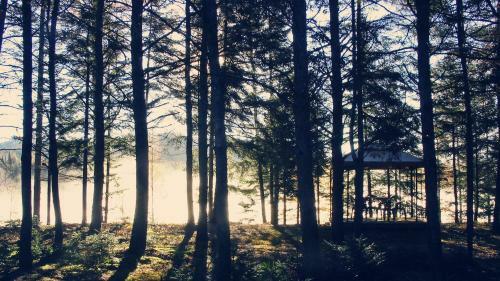 Domaine Summum